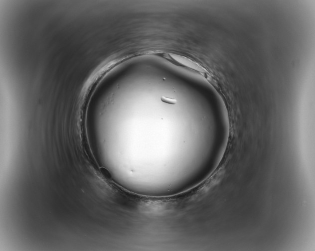 X0000086780341200704271814