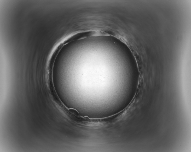 X0000086780342200704271814