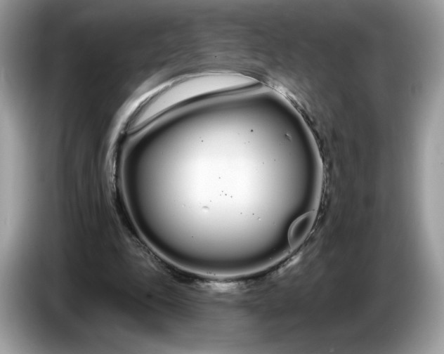 X0000086780343200704271814