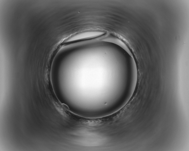 X0000086780345200704271814