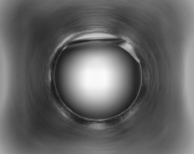 X0000086780350200704271814