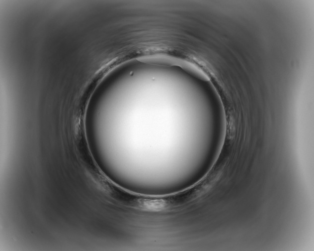 X0000086780355200704271814