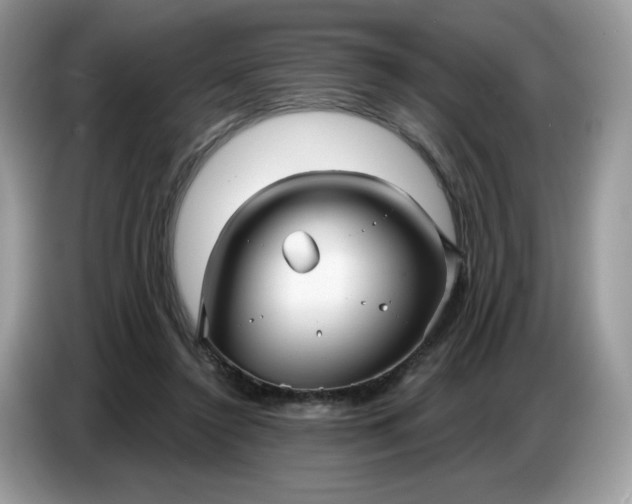 X0000086780356200704271814