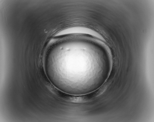 X0000086780361200704271814