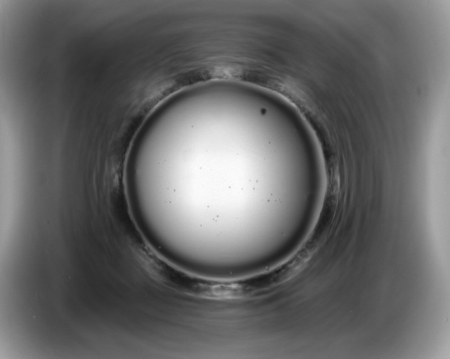 X0000086780363200704271814