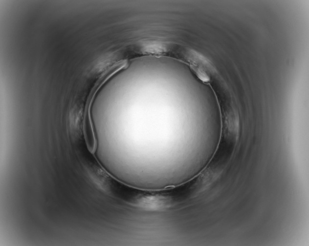 X0000086780364200704271814