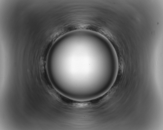 X0000086780366200704271814