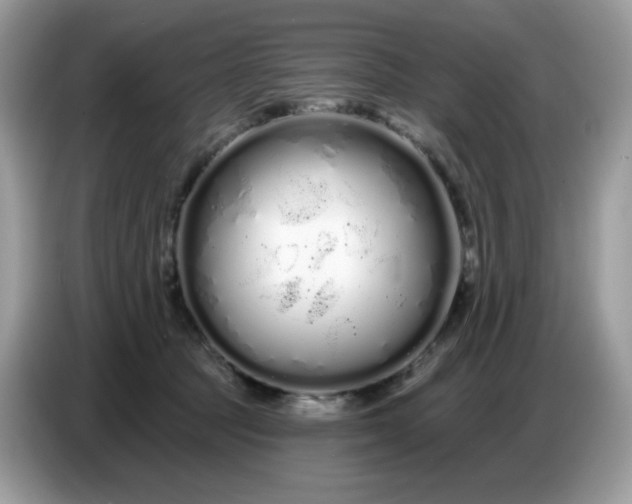 X0000086780369200704271815