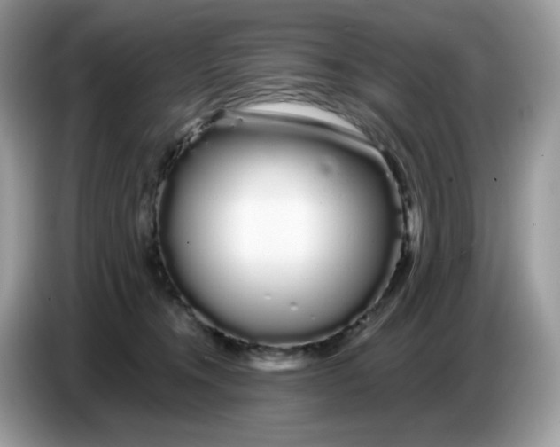 X0000086780372200704271815