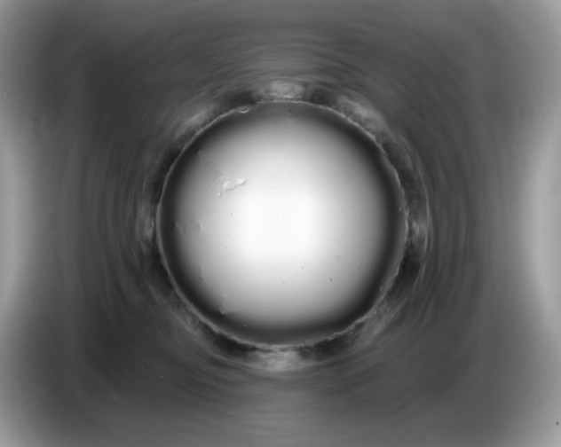 X0000086780374200704271815