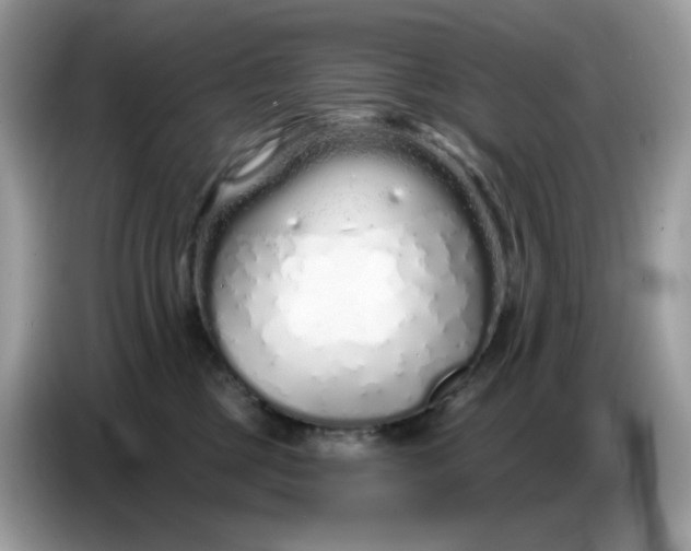 X0000086780377200704271815