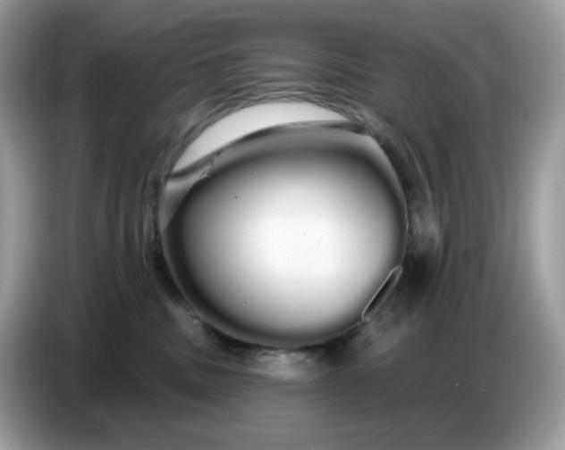 X0000086780379200704271815