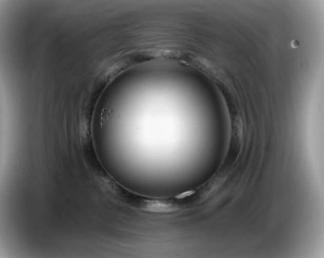 X0000086780380200704271815