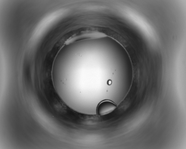 X0000086780382200704271815