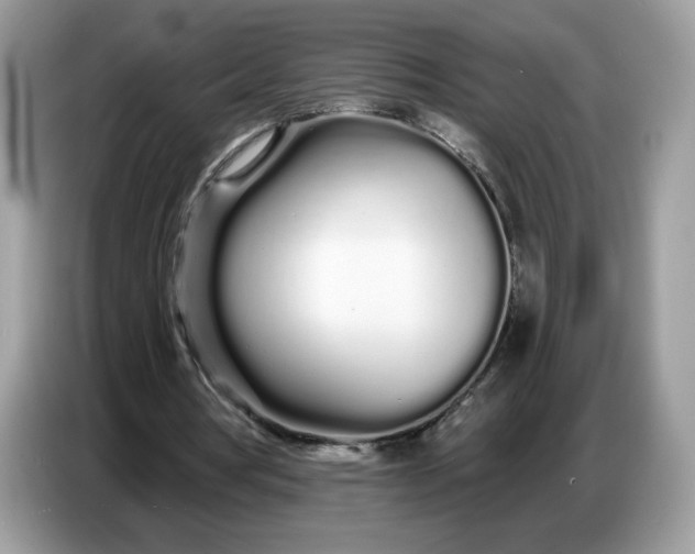 X0000086780386200704271814