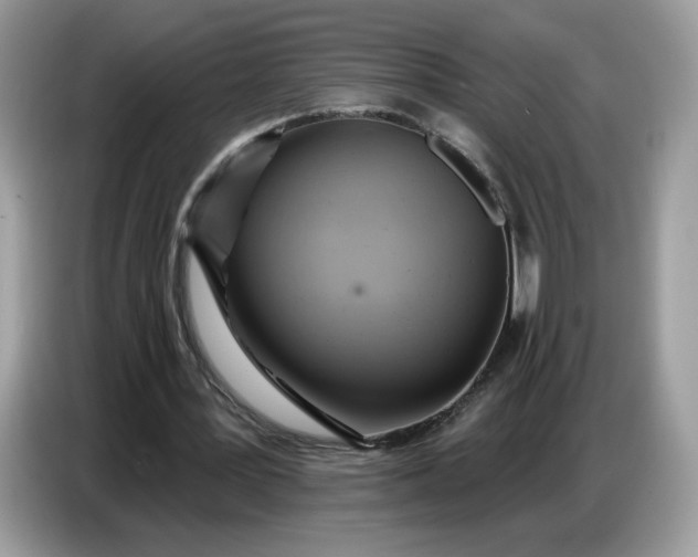 X0000086780387200704271814