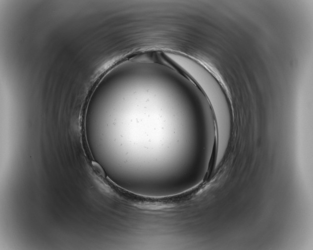 X0000086780389200704271814