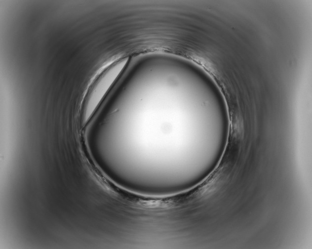 X0000086780390200704271814