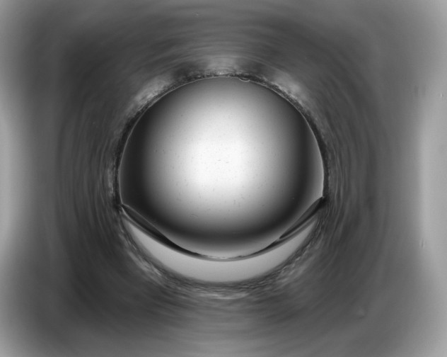 X0000086780393200704271814