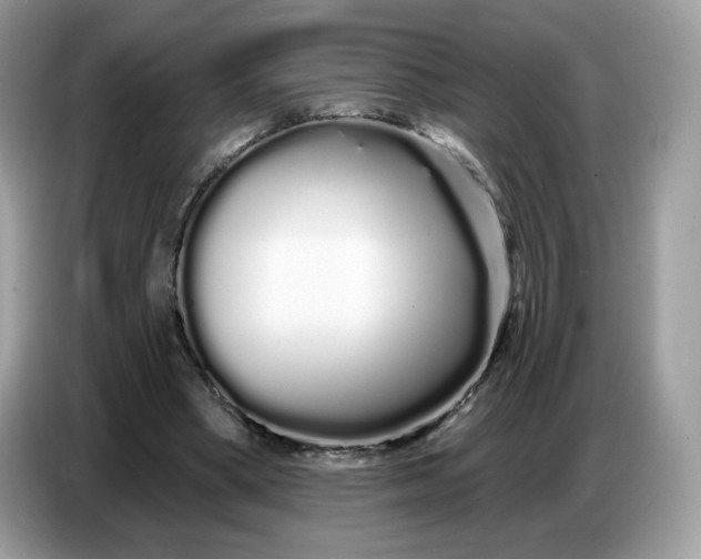 X0000086780394200704271814