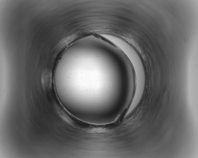 X0000086780397200704271814