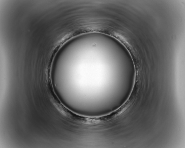 X0000086780398200704271814