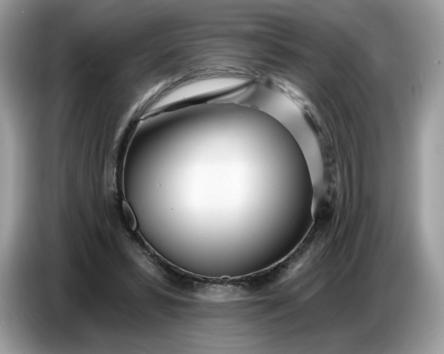 X0000086780399200704271814