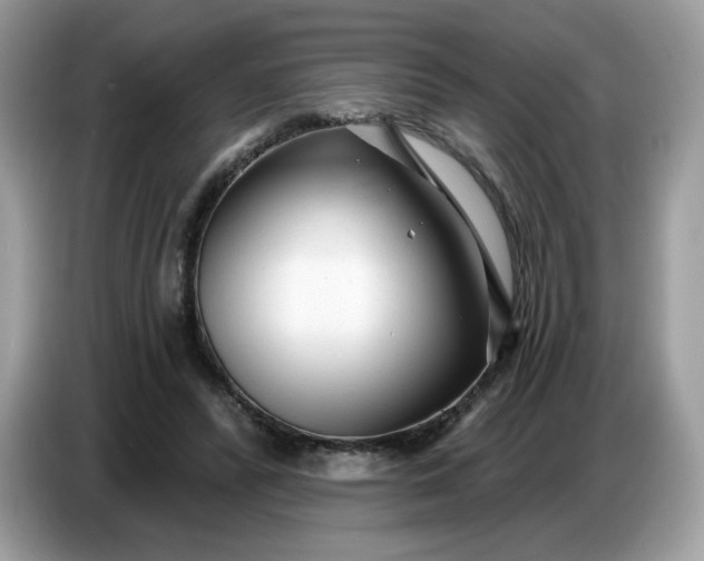 X0000086780400200704271814