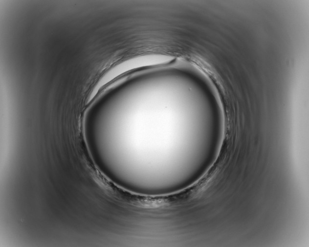 X0000086780401200704271814