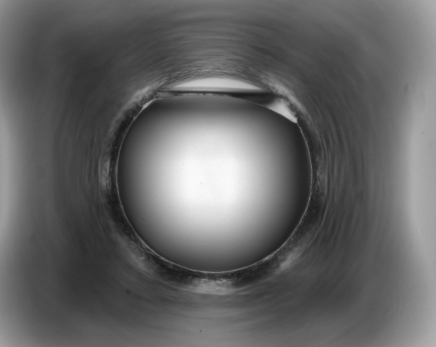 X0000086780403200704271814