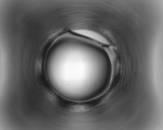 X0000086780404200704271814