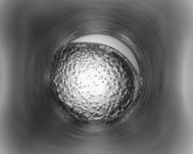 X0000086780405200704271814