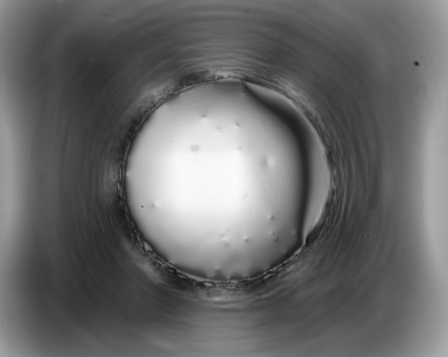 X0000086780406200704271814