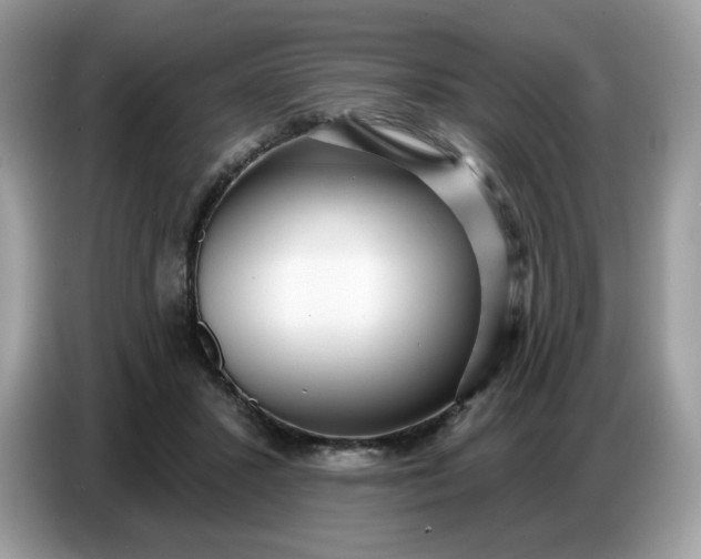 X0000086780407200704271814