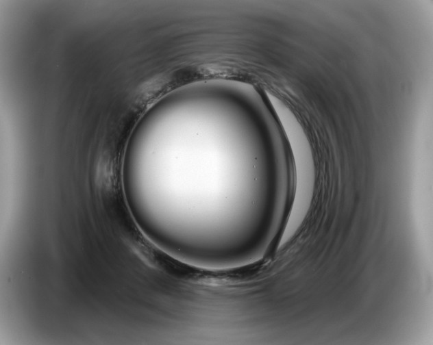 X0000086780408200704271814