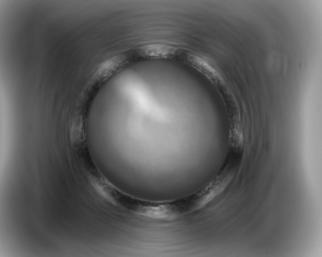 X0000086780411200704271814