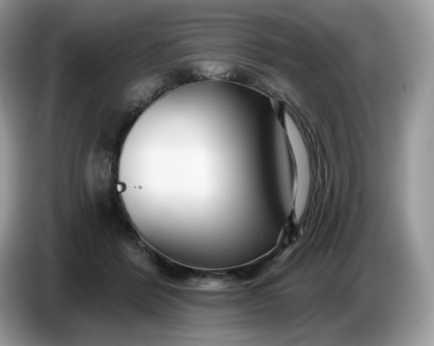 X0000086780412200704271814