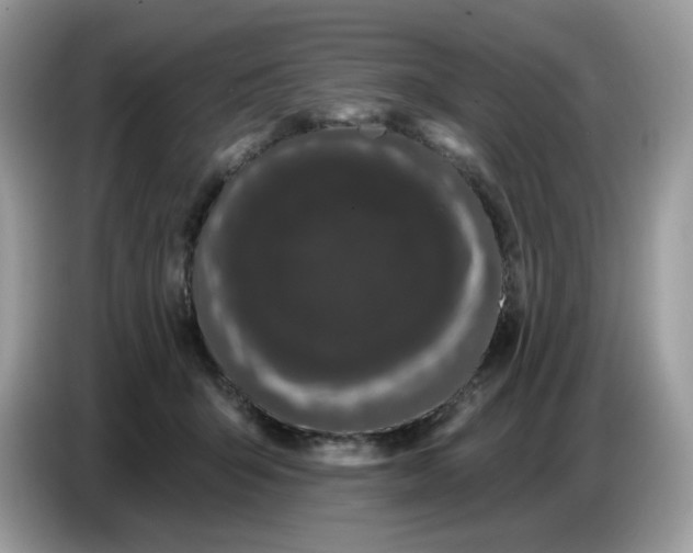 X0000086780415200704271814