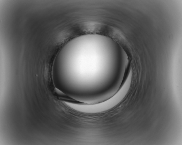 X0000086780416200704271814