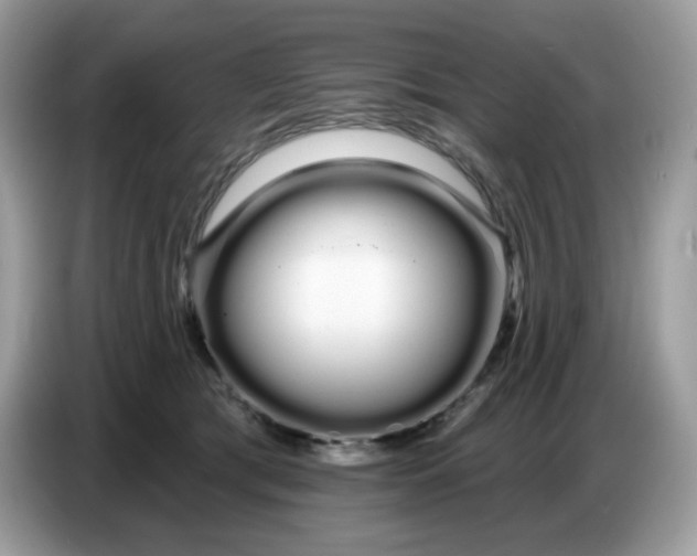 X0000086780417200704271814