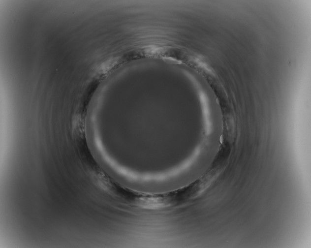 X0000086780419200704271814