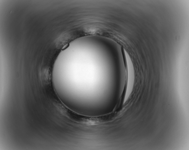 X0000086780420200704271814