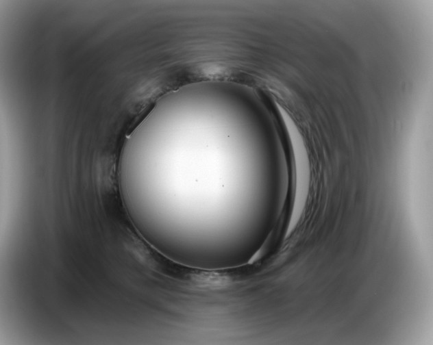 X0000086780421200704271814