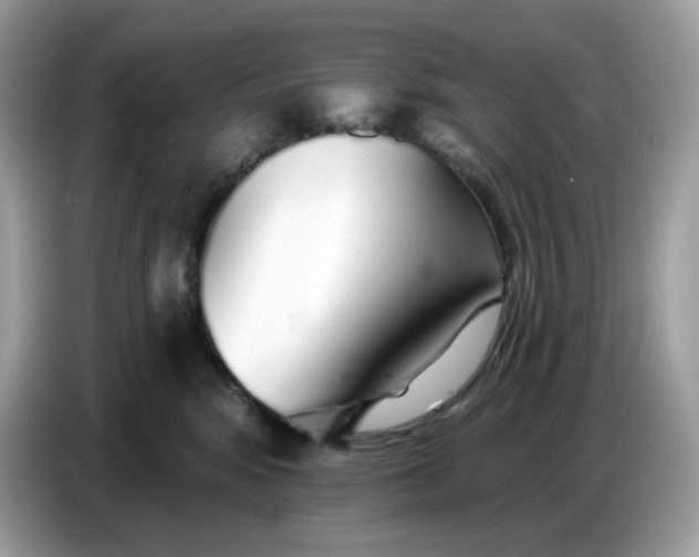 X0000086780424200704271814