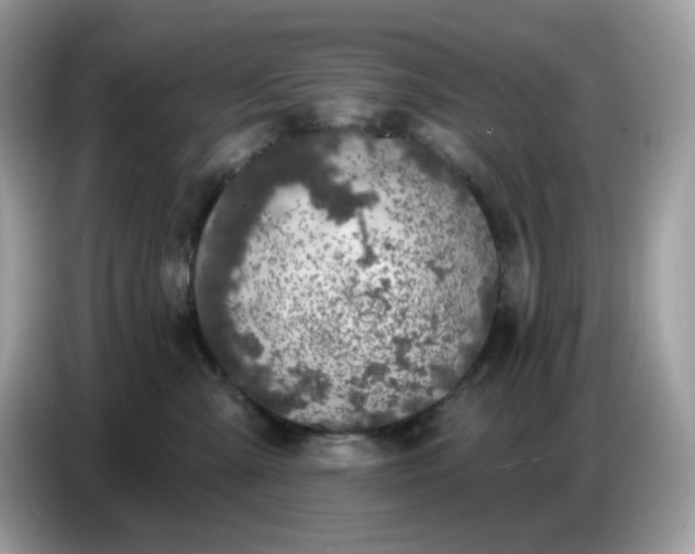 X0000086780427200704271814