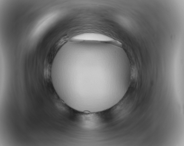 X0000086780431200704271814