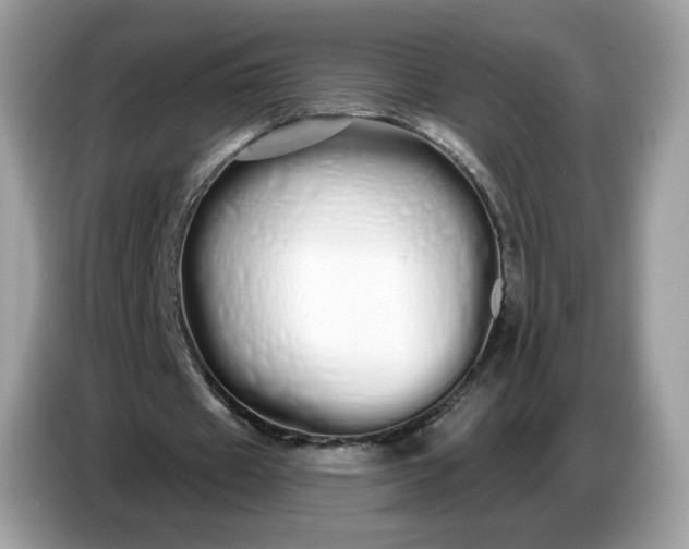 X0000086780433200704271813