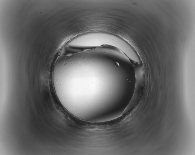 X0000086780434200704271813