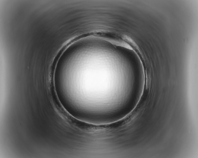 X0000086780435200704271813