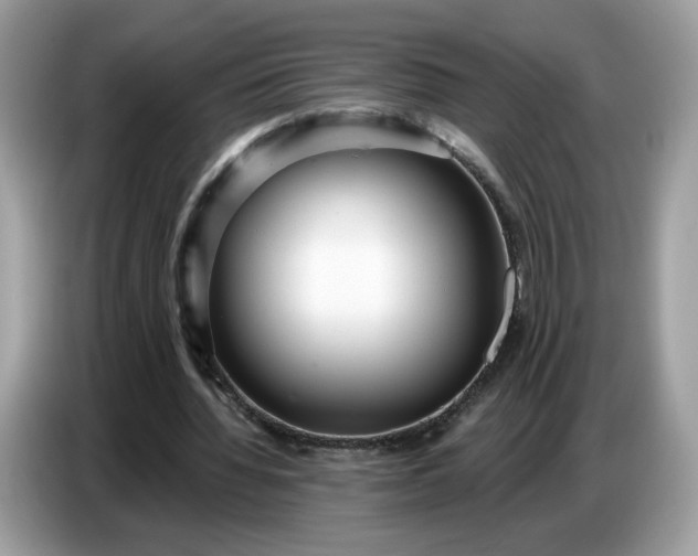 X0000086780436200704271813